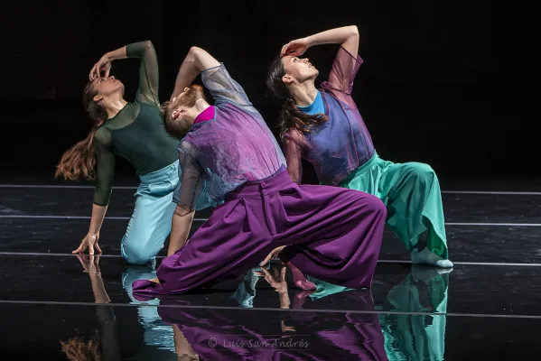 Beneath_Cia. Thomas Noone Dance Beneath_Cia. Thomas Noone Dance