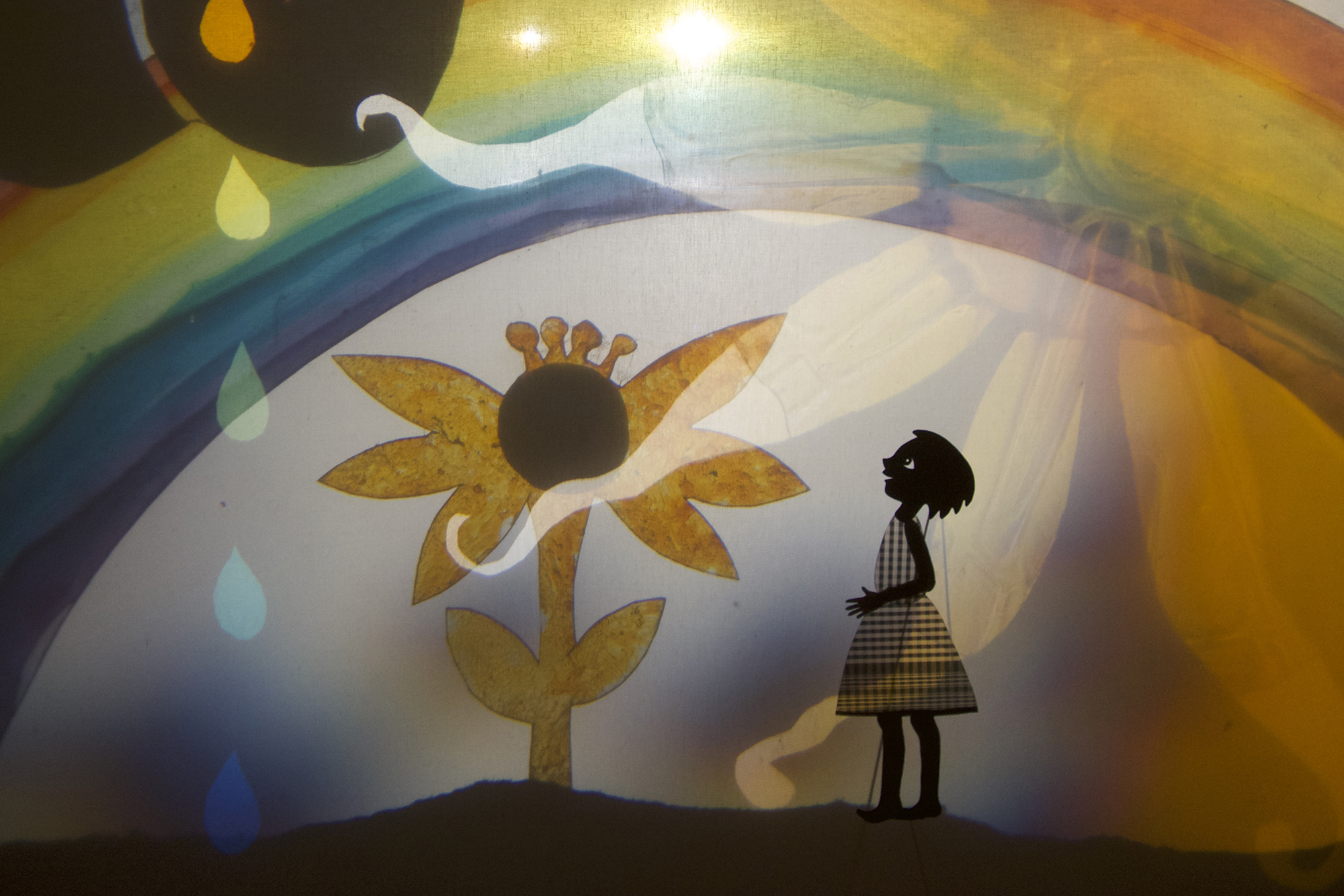 Amelia and the Moon shadows