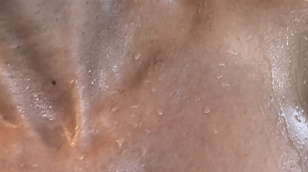 A.L.I.E.N._El Desvío