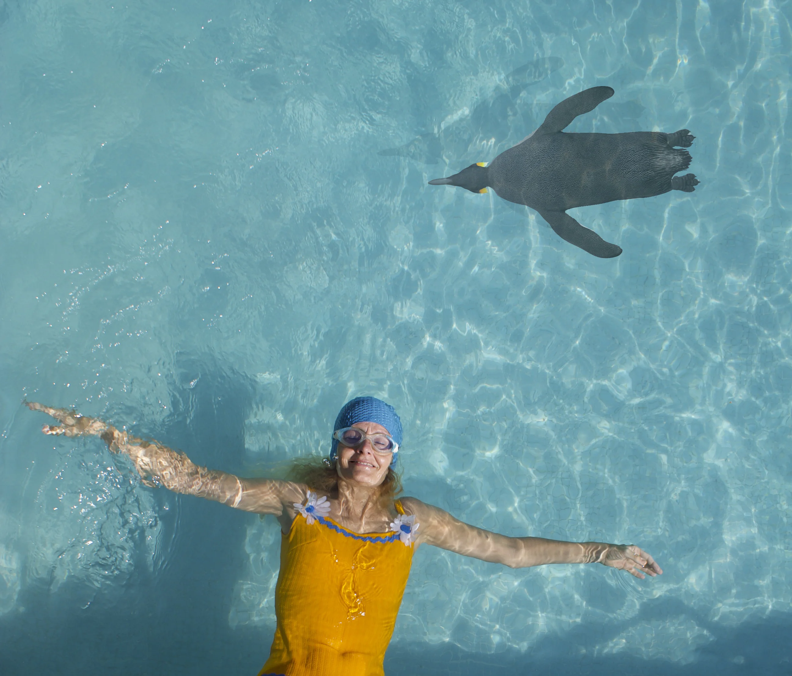 Com els pingüins La Bleda