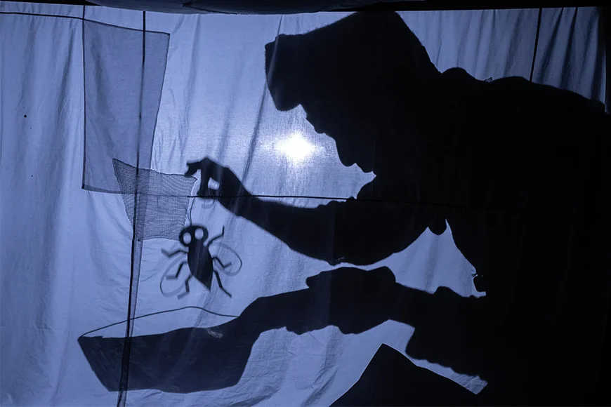 Ombres xineses. Un home cuina un insecte a la paella.
